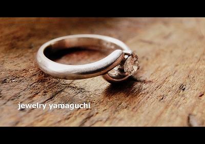 �򕌁@�����w�ց@�v���`�i�@�I�[�_�[���C�h�@����