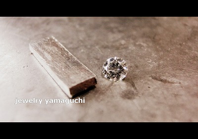 �򕌁@�I�[�_�[���C�h�@����w�� �_�C��