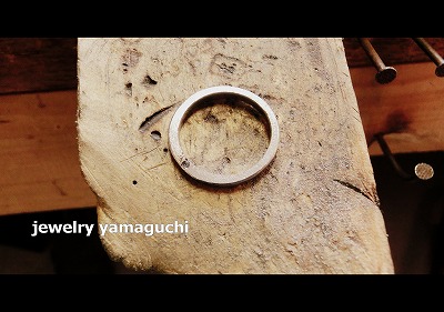 �򕌁@�I�[�_�[���C�h�@����w�� �_�C��