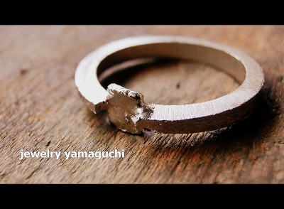 �򕌁@�I�[�_�[���C�h�@����w�ց@����@�֎s