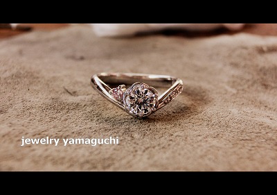 �򕌁@�I�[�_�[���C�h�@����w�ց@����@�֎s