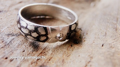 �򕌁@�I�[�_�[���C�h�@����w�ց@����@�֎s