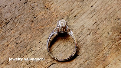 �򕌁@�W���G���[���t�H�[���@�w�ց@�_�C��