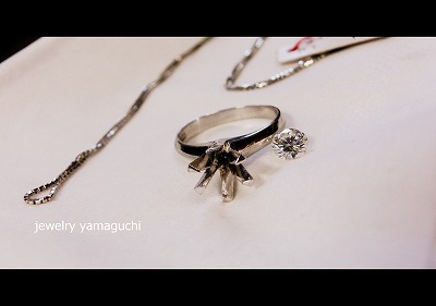 �򕌁@�֎s �v�`�l�b�N�@�W���G���[���t�H�[���@�_�C��