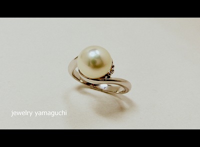 �򕌁@�֎s �@�W���G���[���t�H�[���@�^��@�w��