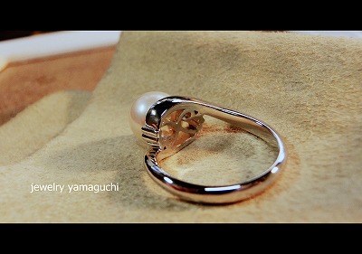 �򕌁@�֎s �@�W���G���[���t�H�[���@�^��@�w��