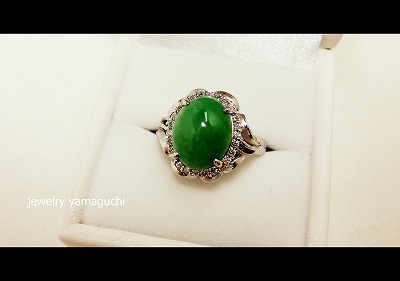 �򕌁@�֎s �@�W���G���[���t�H�[���@�Ő��@�w��