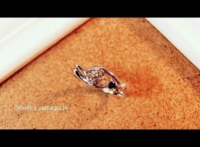 �򕌁@�I�[�_�[���C�h�@����w�ց@����@�֎s