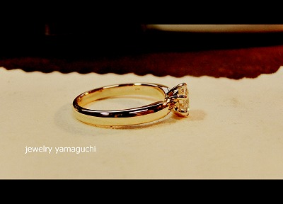 �򕌁@�֎s �@�W���G���[���t�H�[���@�_�C���@�w��