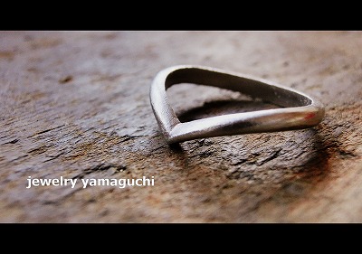 �򕌁@�I�[�_�[���C�h�@����w�� �_�C��